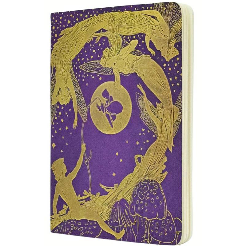 PAPERBLANKS CAHIERS VIOLET FAIRY A5 PAUTADO