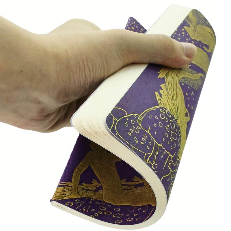 PAPERBLANKS CAHIERS VIOLET FAIRY A5 PAUTADO