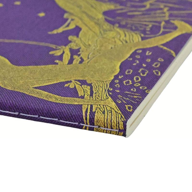 PAPERBLANKS CAHIERS VIOLET FAIRY A5 PAUTADO