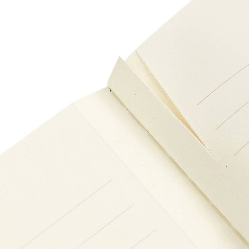 PAPERBLANKS CAHIERS VIOLET FAIRY A5 PAUTADO