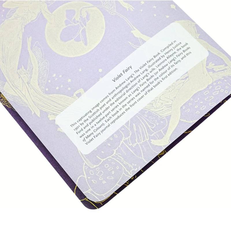 PAPERBLANKS CAHIERS VIOLET FAIRY A5 PAUTADO